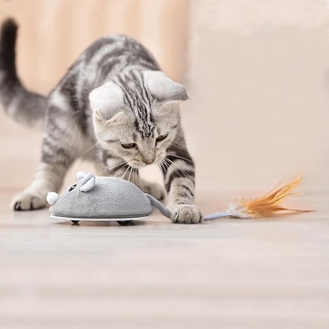Interactive Cat Toy Mouse, Moving Mouse Automatic Cat Toys Electronic Mice, Rechargeable Squeaky Cat Mouse Toys for Kitten Indoor/Outdoor Exercise(Short Velvet)
