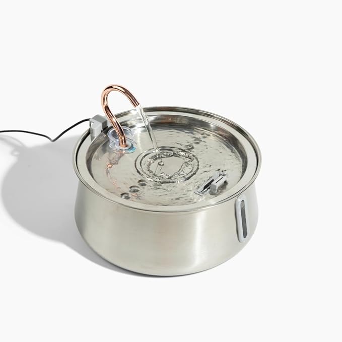 The KittySpout Stainless Steel Cat Water Fountain 2.0, 4L/135oz