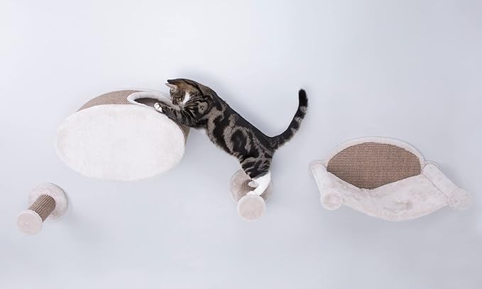 TRIXIE Wall Mounted Cat Lounge Set, Hammock and Condo with Two Steps, Cat Furniture, Scratching Post, Brown