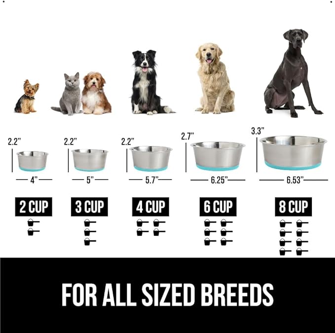 GORILLA GRIP Set of 2 Dog Bowls, Holds 6 Cups (48 fl oz), Heavy Duty Metal Food and Water Bowl for Feeding Dogs and Cat, Dishwasher Safe, Rust Resistant Stainless Steel, BPA Free Rubber Base Turquoise