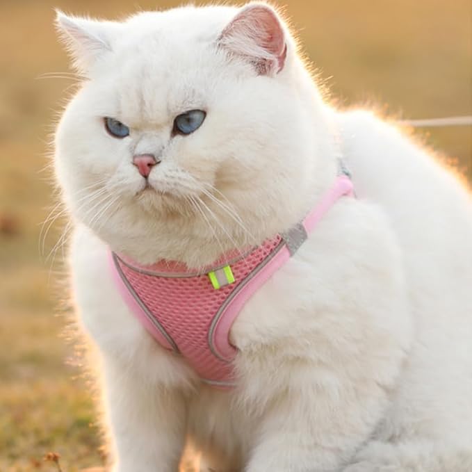 Cat Harness and Leash Set Soft Adjustable Escape Proof Cat Leash Breathable Comfortable Vest Easy to Wear Kitten/Small Dogs Harness for Outdoor Walking Pink XXS