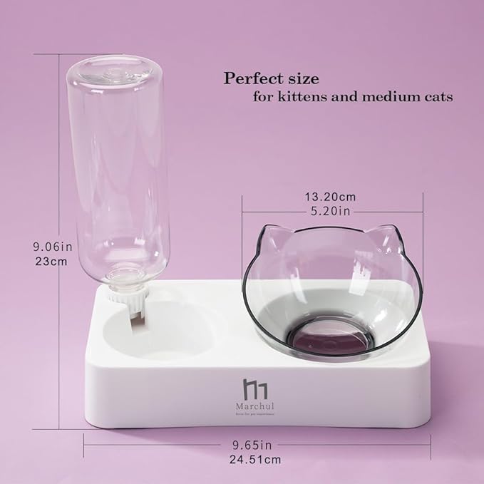 Marchul Tilted Cat Food Bowl with Feeding Mat for Food and Water, Food Feeding Dishes for Raised Cats and Puppies
