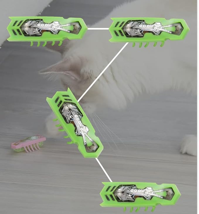 Cat Toys Teaser Interactive,Mini Electronic Robot Beetle Funny cat Toy, Cat Bug Educational Toy for Indoor Cats Kitten Play Chase Exercise,2pcs (Beetle+Mouse)