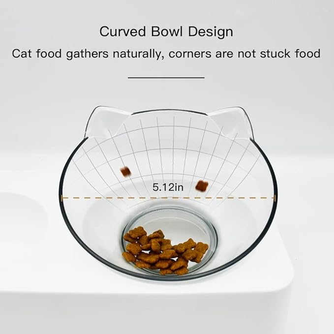 Marchul Tilted Cat Bowl Set for Food and Water, Food Feeding Raised Dishes for Puppies,Black
