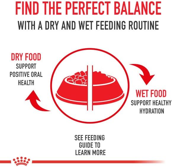 Royal Canin Feline Health Nutrition Aging 12+ Thin Slices In Gravy Canned Cat Food, 3 oz Can (24-count)