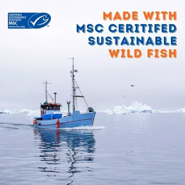 Wild Salmon Fish Recipe Adult Dry Cat Food | Made with MSC-Certified Sustainable Salmon | Rich Source of Omega-3s | 3.5 Lb Bag