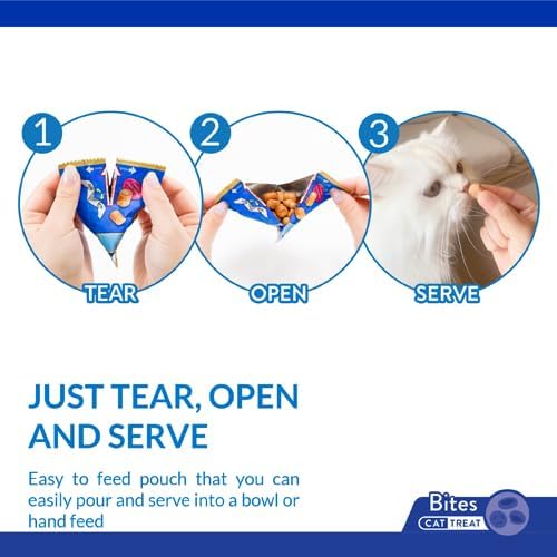 INABA Churu Fun Bites for Cats, Soft & Chewy Baked Chicken Wrapped Filled Cat Treats with Taurine, 0.42 Ounces Each Tetra, 3 Tetras, Chicken Recipe Wraps Chicken with Pumpkin Recipe
