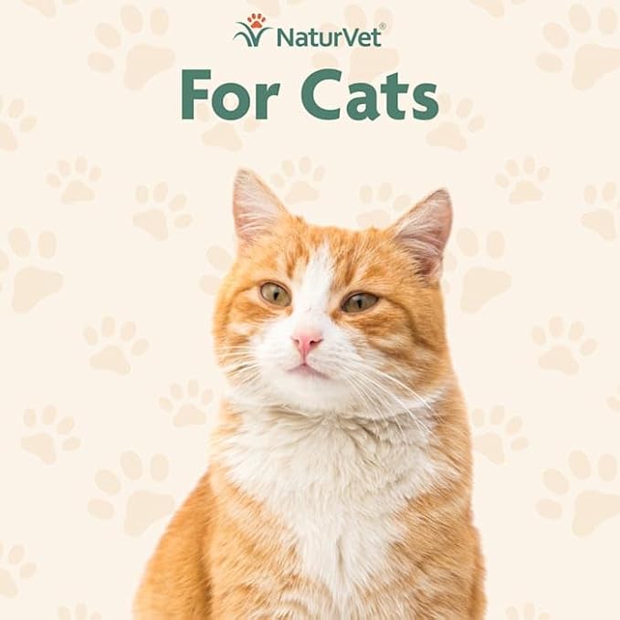 NaturVet – Skin & Coat Plus Omegas for Cats – 60 Soft Chews | Supports Healthy Skin & Glossy Coat | Enhanced with Omega-3, Omega-6 & Biotin | 30 Day Supply