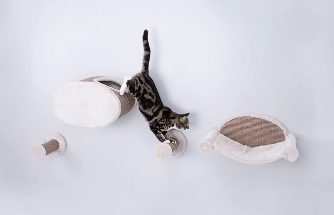 TRIXIE Wall Mounted Cat Lounge Set, Hammock and Condo with Two Steps, Cat Furniture, Scratching Post, Brown