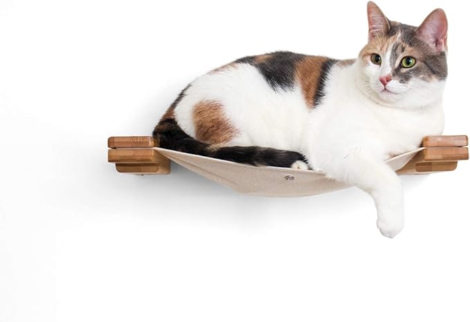 CatastrophiCreations Cat Lounge Hammock Wall Mounted Lounger for Climb and Play Furniture Cat Tree Shelve