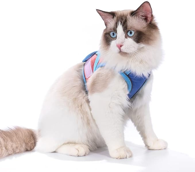 TOTORO Cat Harness and Leash for Walking Escape Proof ,Adjustable Comfortable Suedette Vest Harnesses for Cats,Reflective Strips Easy to Put on Step-in Velcro Jacket (L, Blue)