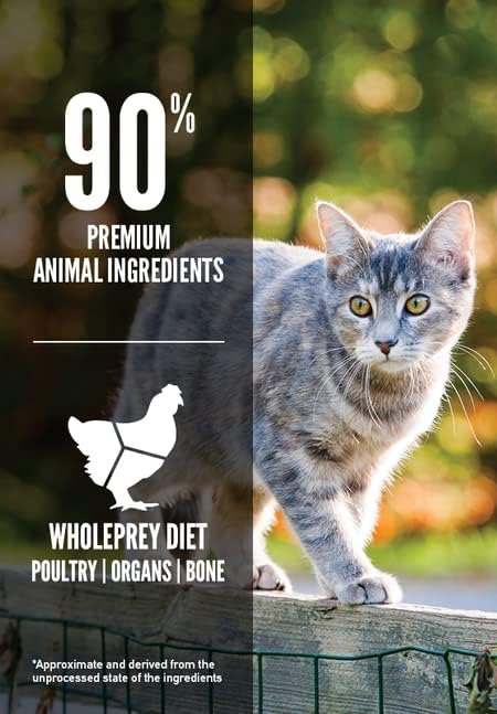 Orijen 2 Pack of Cat & Kitten Grain-Free Dry Food, 4 Pounds Each, Made in The USA