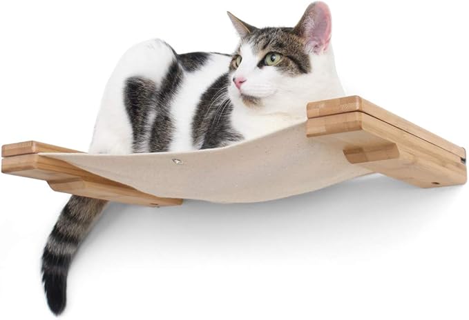 CatastrophiCreations Cat Lounge Hammock Wall Mounted Lounger for Climb and Play Furniture Cat Tree Shelve