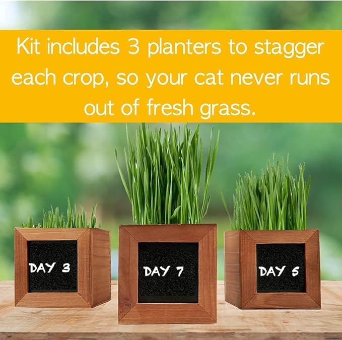 Organic Indoor Cat Grass Kit - 3 Wooden Planters, Certified Seeds, and Premium Soil for Happy Cats. Delight Your Feline Friends with The Ultimate Cat Grass Experience! Ideal Gift for Cat Lovers.