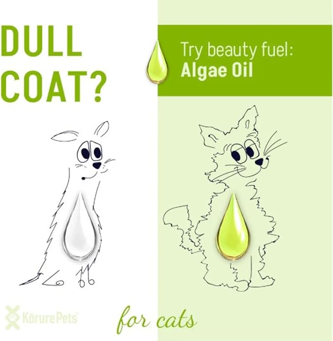 Omega 3 for Cats - Algae Oil, Alternative Fish Oil for Cats, Sustainable Omega Supplement for Skin & Coat, Itching, Shedding, Joints & Immune Health, Natural Omega Cat Supplements 50ml