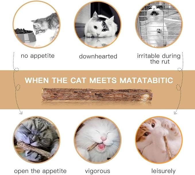 Cat Catnip Sticks Natural Matatabi Silvervine Sticks - Cleaning Teeth Molar Tools Kitten Cat Chew Toy Natural Catnip Mouse Cat Toy (20 PCS)