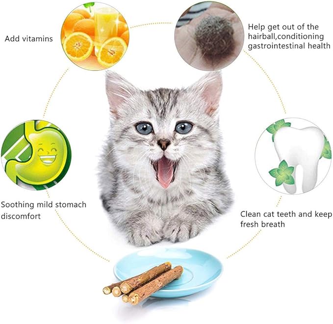 Cat Catnip Sticks Natural Matatabi Silvervine Sticks - Cleaning Teeth Molar Tools Kitten Cat Chew Toy Natural Catnip Mouse Cat Toy (20 PCS)