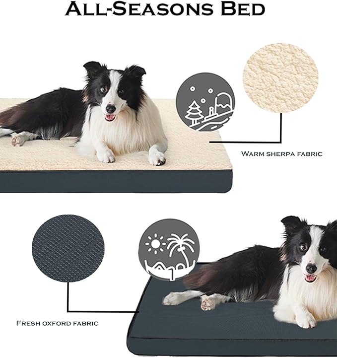 Orthopedic Dog Bed, Memory Foam Revisable Two Side with Washable Removable Cover,Large, 36âx26â