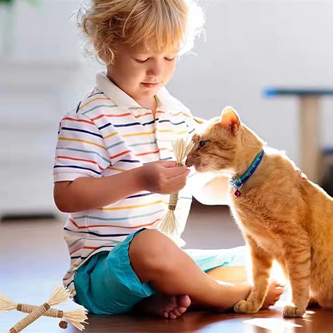 Cat Toys 12Pack Silvervine Chew Stick Kitten Treat Catnip Toy Kitty Natural Stuff Catnip for Cleaning Teeth Indoor Dental Snack Interactive