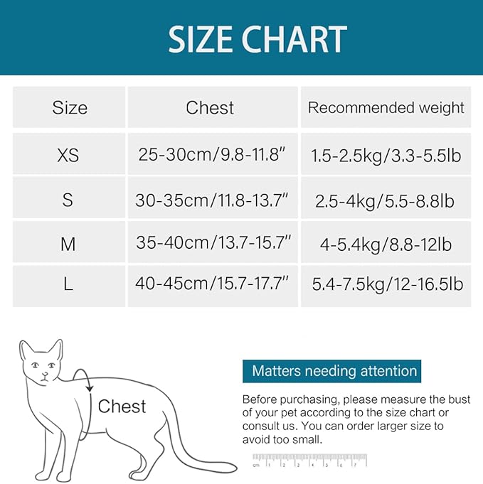 Heywean Cat Harness and Leash - Ultra Light Escape Proof Kitten Collar Cat Walking Jacket with Running Cushioning Soft and Comfortable Suitable for Puppies Rabbits (M, Turquoise)