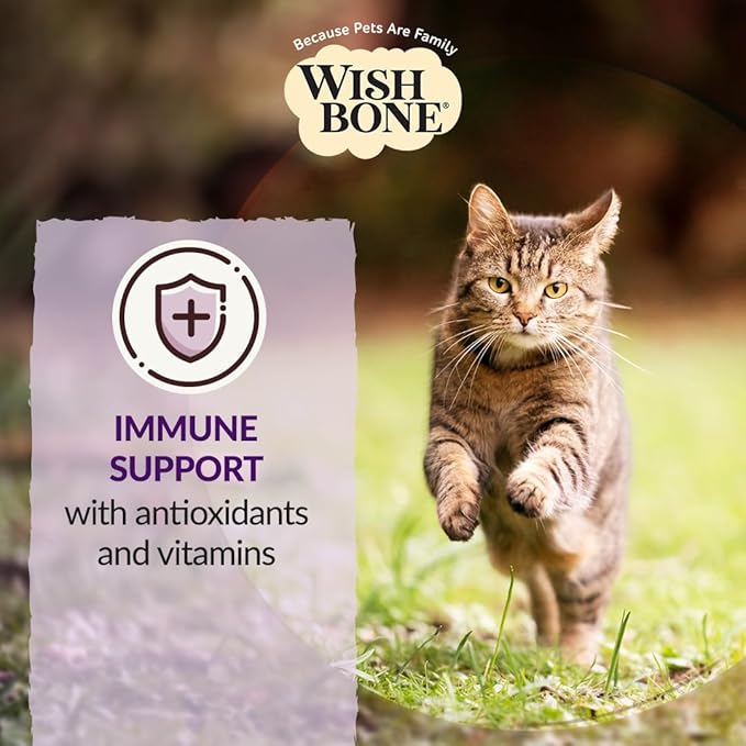 Wishbone Ocean New Zealand King Salmon, Gluten Free, Premium Salmon Recipe Cat Food for Overall Pet Health - 4 lb