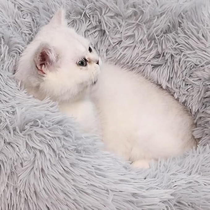 Cat Beds for Indoor Cats, Round Anti Anxiety Dog Bed Washable, Fluffy Round Pet Bed Non-Slip, Calming Soft Plush Donut Dog Beds Fits up to 110 lbs Pets (Light Grey, 39" x 39")