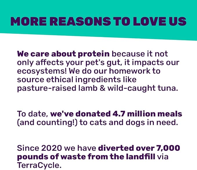 I AND LOVE AND YOU Feed Meow Shine Wet Cat Food - Salmon + Tuna - Coat and Skin Support, Grain Free, Shreeded, No Fillers, 3oz Pack of 12