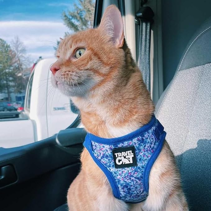 Travel Cat Harness and Leash Set - Adjustable Fit Mesh Cat Harness and Reflective Strap - Comfort Escape Proof Harness for Cats, Kitten for Outdoor Walking, Hiking (Medium, Groovy)