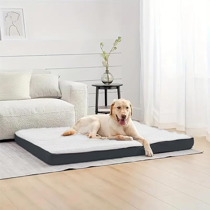 Orthopedic Dog Bed, Memory Foam Revisable Two Side with Washable Removable Cover,Large, 36âx26â