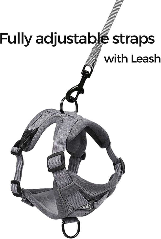 Cat Harness and Leash Set Escape Proof Tactical Large Kitten Harness Emotional Support Cat Vest, Grey, L