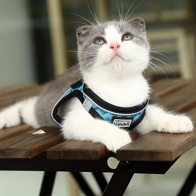 Soft Mesh Dog Harness and Leash Set, Step-in Reflective Breathable Comfort Padded Quick Dry Pet Puppy Vest Harness for Extra-Small/Small Medium Dogs and Cats (Blue, XS)