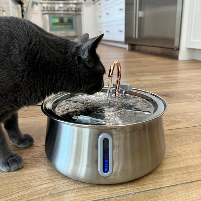 The KittySpout Stainless Steel Cat Water Fountain 2.0, 4L/135oz