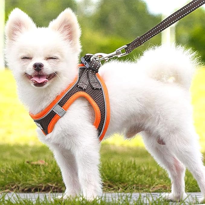 Soft Mesh Dog Harness and Leash Set, Step-in Reflective Breathable Comfort Padded Quick Dry Pet Puppy Vest Harness for Extra-Small/Small Medium Dogs and Cats (Brown, XXS)