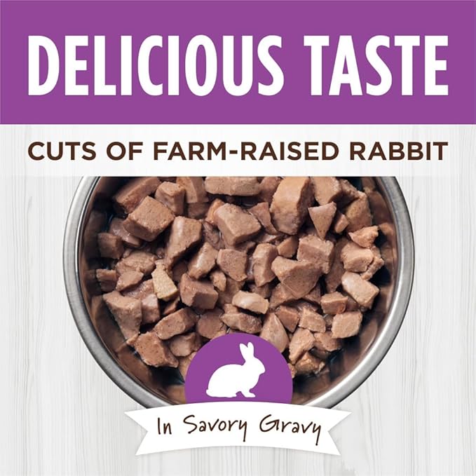 Instinct Healthy Cravings Grain Free Real Rabbit Recipe Natural Wet Cat Food Topper, 3 Ounce (Pack of 24)