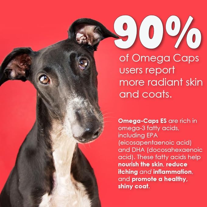 Omega-Caps ES Liquid for Dogs and Cats, Concentrated EPA and DHA, Omega-3 Liquid Supplement, Fatty Acids, Antioxidants, Vitamins Minerals, Supports Healthy Joints, Skin & Coat, 24-oz
