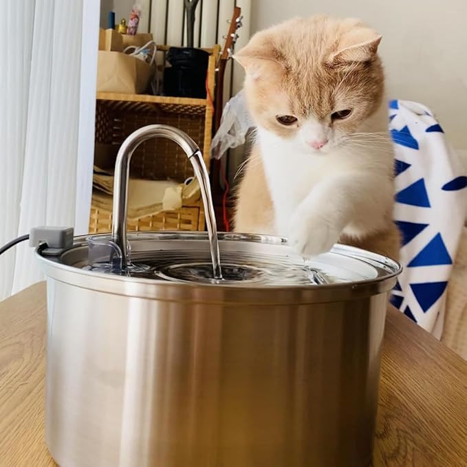 The KittySpout Stainless Steel Cat Water Fountain, 3.2L/108oz