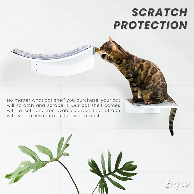 Floating Cat Shelf Wall Mounted Cat Bed Furniture Climbing Wall for Cat Perching Sleeping Lounging with 2 Steps (Curved)