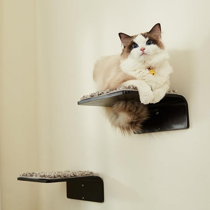 2 Set Cat Wall Steps - Wooden Cat Climbing Shelf for Wall - Cat Wall Stairs with Scratching Mat - Wall Mounted Cat Furniture for Jumping, Playing, and Lounging, Walnut