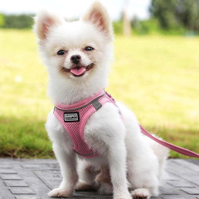 Soft Mesh Dog Harness and Leash Set, Step-in Reflective Breathable Comfort Padded Quick Dry Pet Puppy Vest Harness for Extra-Small/Small Medium Dogs and Cats (Pink, XS)