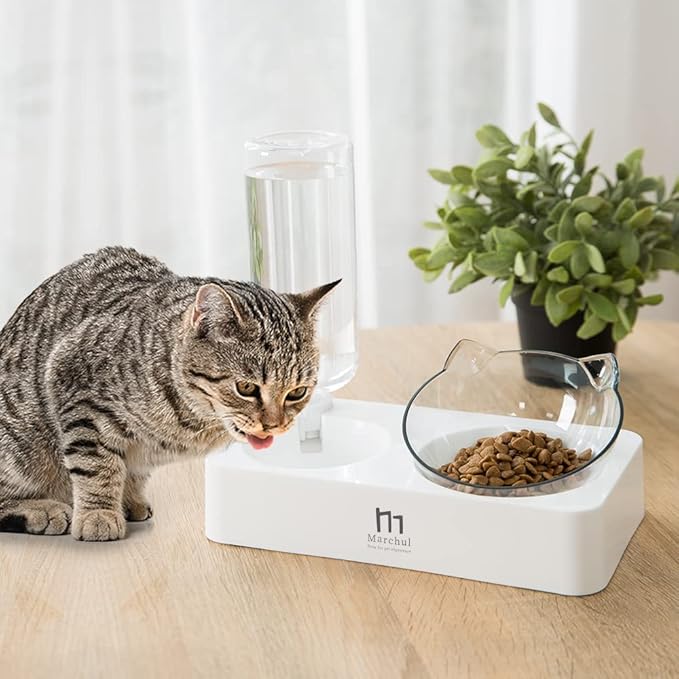 Marchul Tilted Cat Bowl Set for Food and Water, Food Feeding Raised Dishes for Puppies