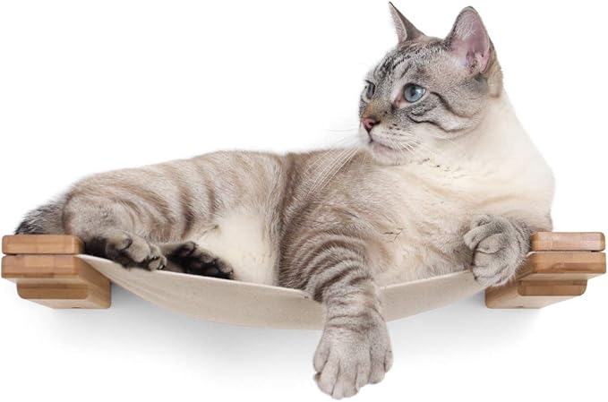 CatastrophiCreations Cat Lounge Hammock Wall Mounted Lounger for Climb and Play Furniture Cat Tree Shelve