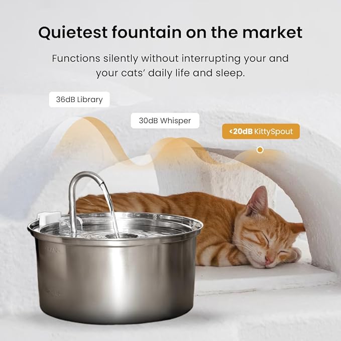The KittySpout Stainless Steel Cat Water Fountain, 3.2L/108oz