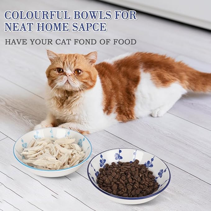 HAPPY KIT 2pcs Ceramic Cat Food Bowls Set,8.5oz Colorful Cats Dish/Dishes lndoor for Relief Whisker Friendly,5.7inch Wide Shallow Plate with Non-Slip Mat, 2 Petals