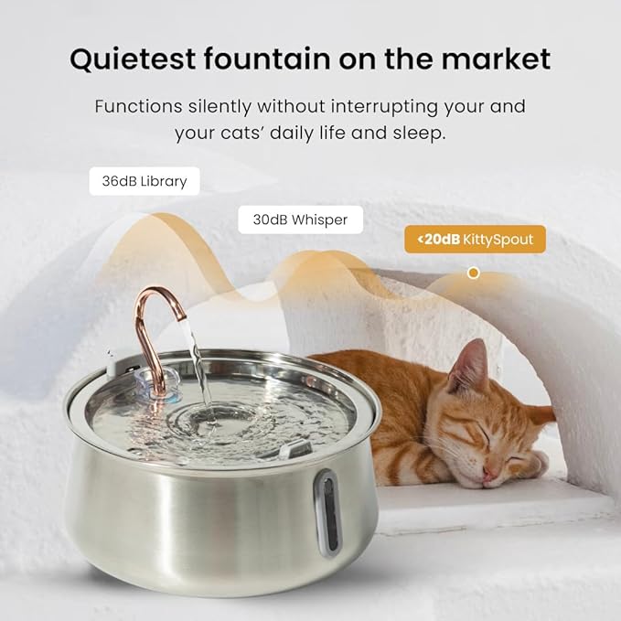 The KittySpout Stainless Steel Cat Water Fountain 2.0, 4L/135oz
