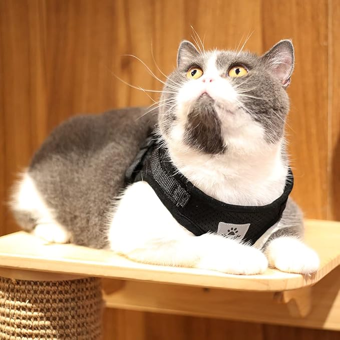 Comfort Step-in Cat Dog Harness and Leash Set for Puppies Cats Kitty Escape Proof Pet Vest Harnesses for Small Animals Rabbit/Mouse/Cats (M:3-4.5KG, Black)