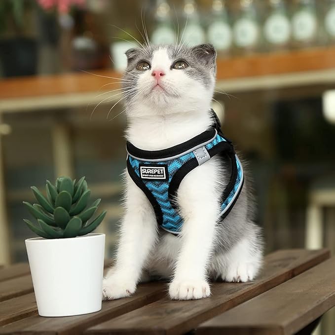 Soft Mesh Dog Harness and Leash Set, Step-in Reflective Breathable Comfort Padded Quick Dry Pet Puppy Vest Harness for Extra-Small/Small Medium Dogs and Cats (Blue, XS)