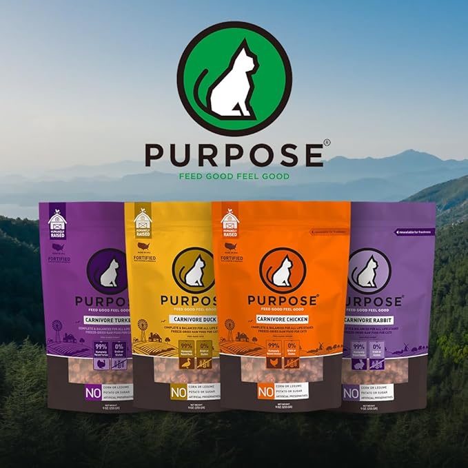 PURPOSE Freeze Dried Raw Cat Food, Grain Free Dry Cat Food, Complete Balanced Meal or Topper, Protein Rich Cat Food for All Breeds and Life Stages, Pure Turkey Recipe Mini Nibs Entrée, 9 oz, USA Made
