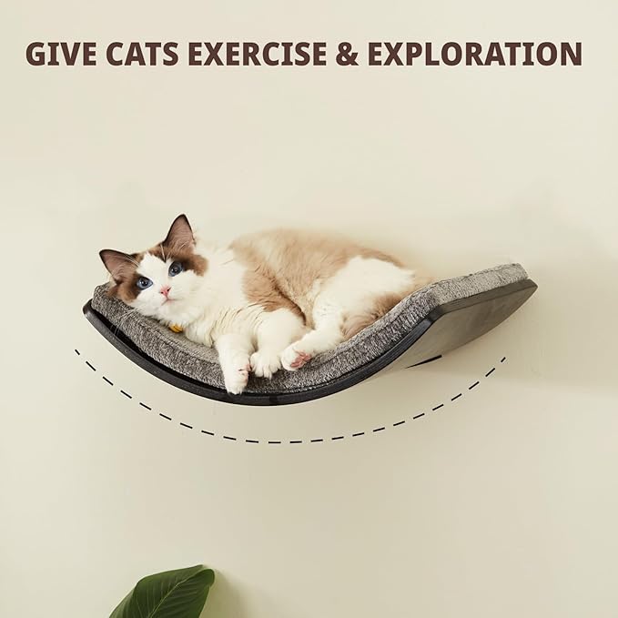 Cat Shelf with Comfortable Cat Cushion - Curved Modern Cat Bed (Large Size) - Lotus Leaf Design Cat Wall Perch - Wall Mounted Cat Furniture for Sleeping, Playing, Climbing, and Lounging, Walnut