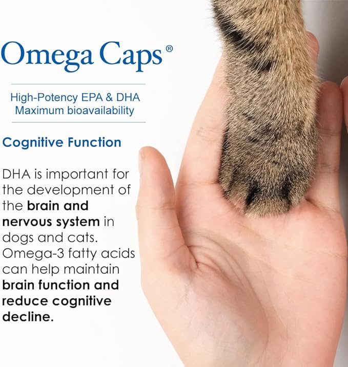 Omega-Caps ES Liquid for Dogs and Cats, Concentrated EPA and DHA, Omega-3 Liquid Supplement, Fatty Acids, Antioxidants, Vitamins Minerals, Supports Healthy Joints, Skin & Coat, 24-oz