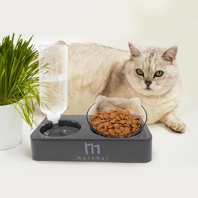 Marchul Tilted Cat Bowl Set for Food and Water, Food Feeding Raised Dishes for Puppies,Black